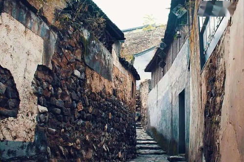 峽谷蜿蜒路，云中草原行 一場追風逐云的短途自駕之旅